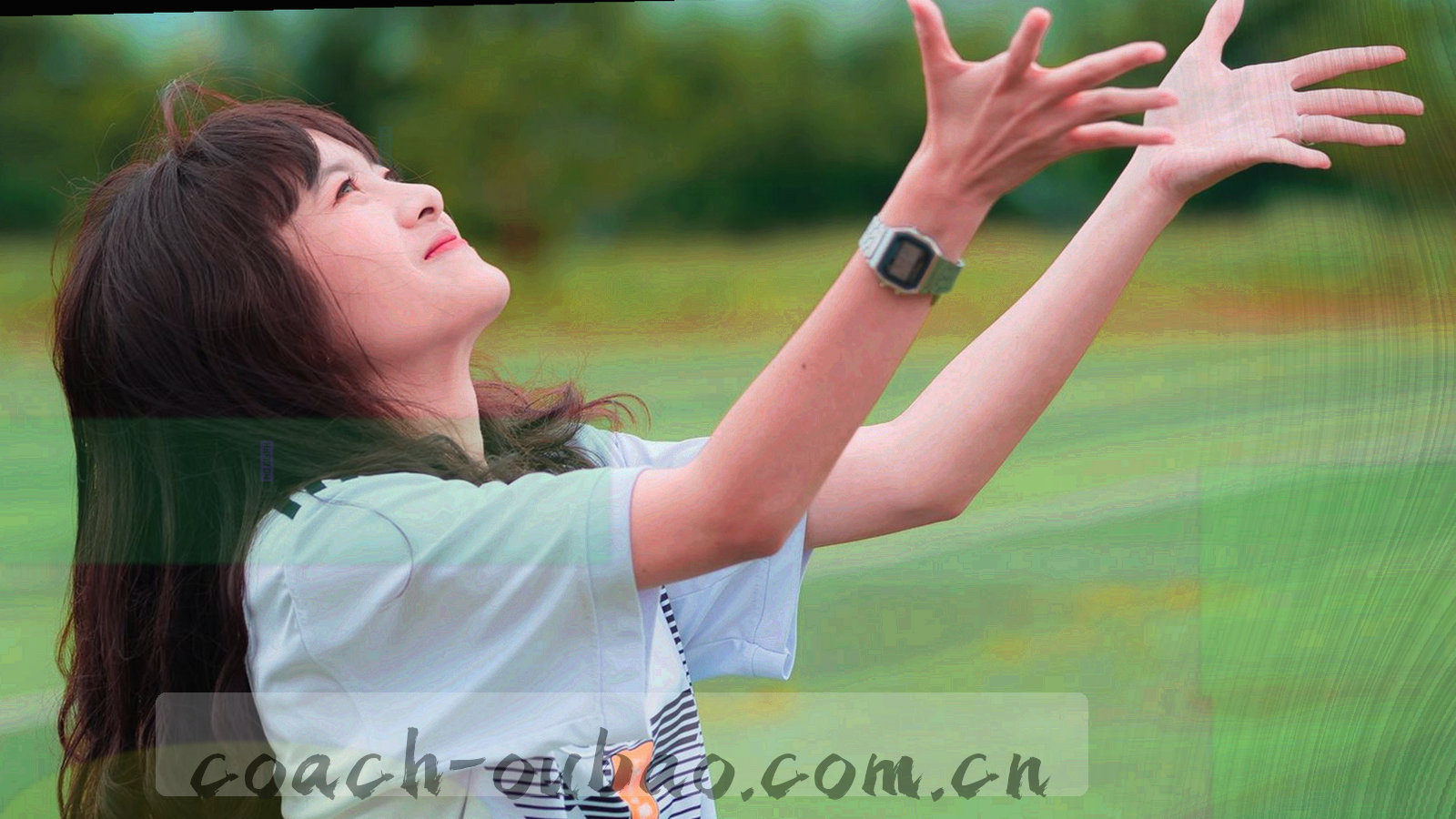 俯拍的训练场边线局部，白线在草皮上收束，画面压暗叠绿